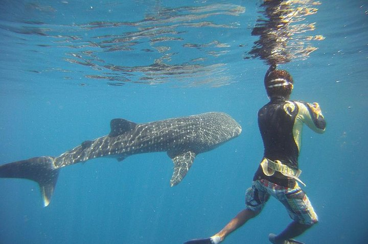 Snorkeling